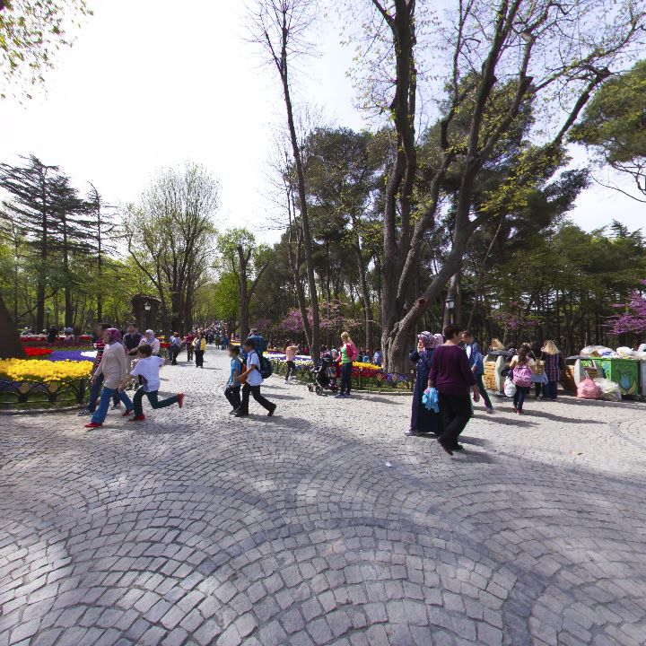 Fotoğraf 11