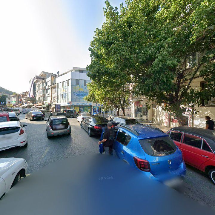 Fotoğraf 10