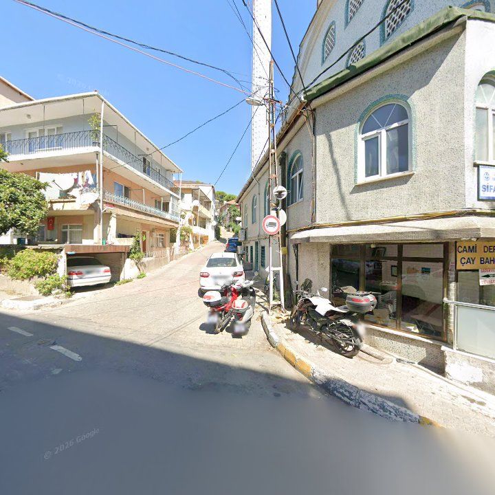 Fotoğraf 9