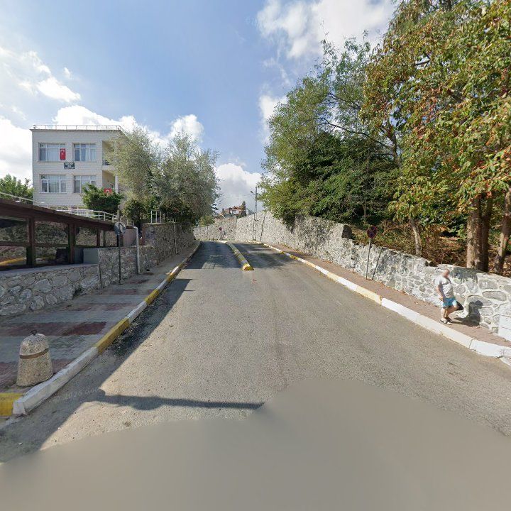 Fotoğraf 11