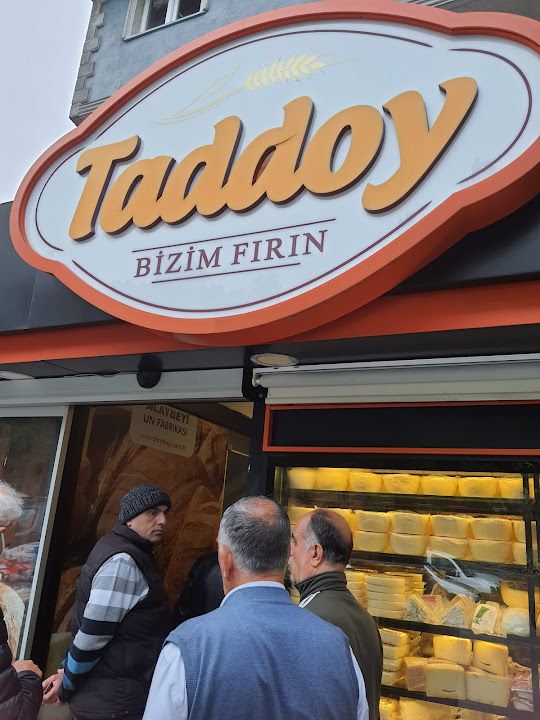 Taddoy