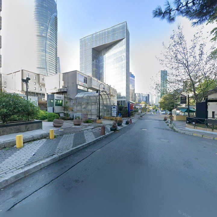 Fotoğraf 12