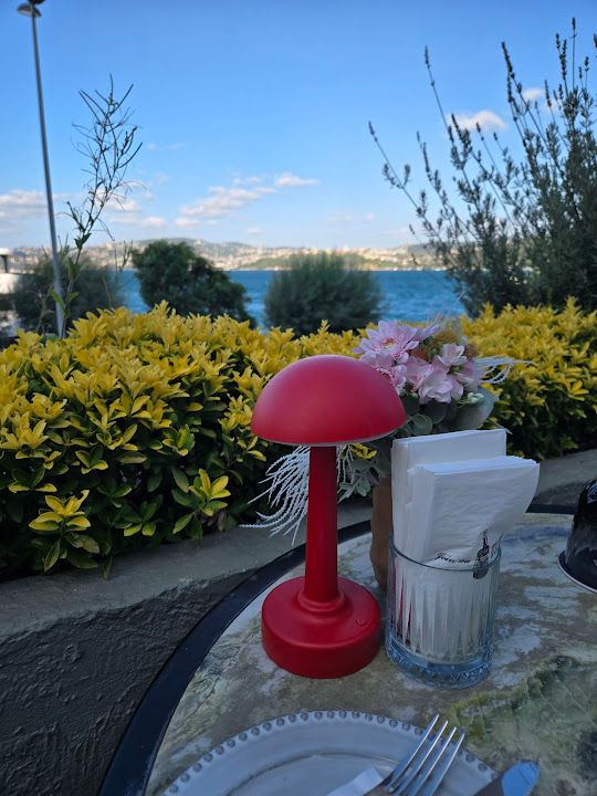 Teras Emirgan