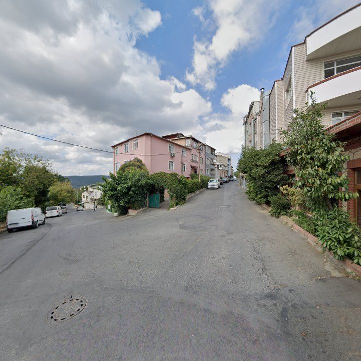 Fotoğraf 10