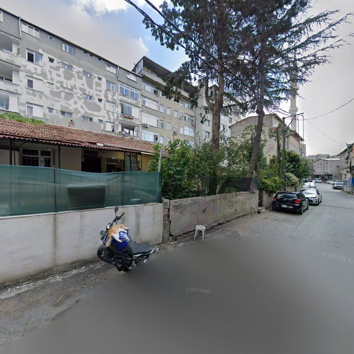 Fotoğraf 10