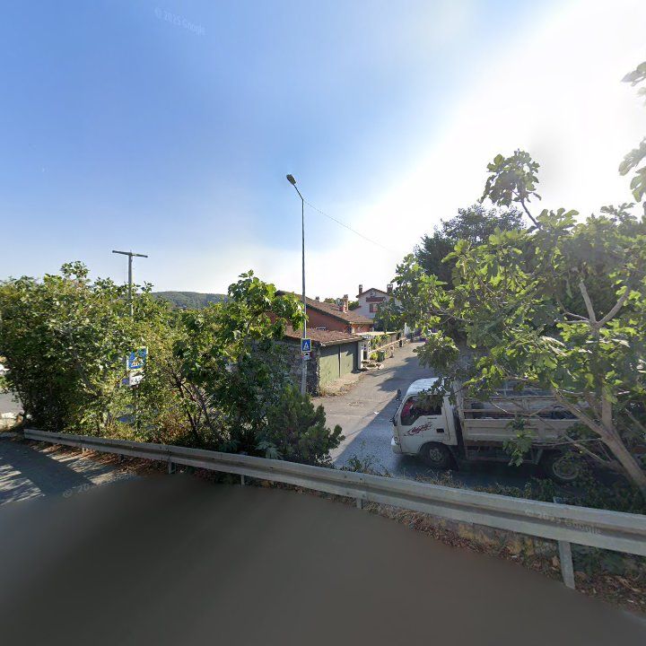 Fotoğraf 15