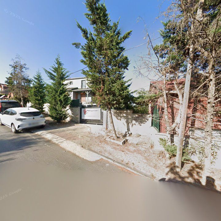Fotoğraf 13