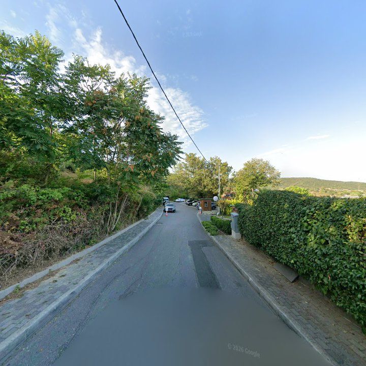 Fotoğraf 13