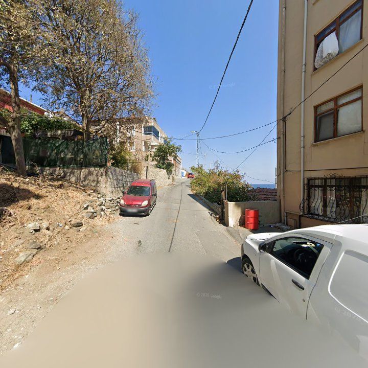 Fotoğraf 10