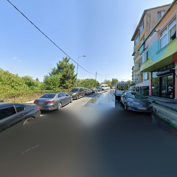 Fotoğraf 12