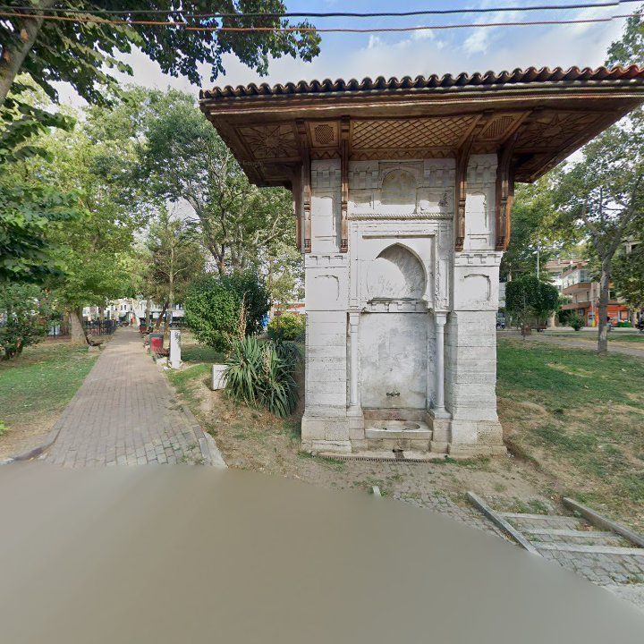Fotoğraf 11