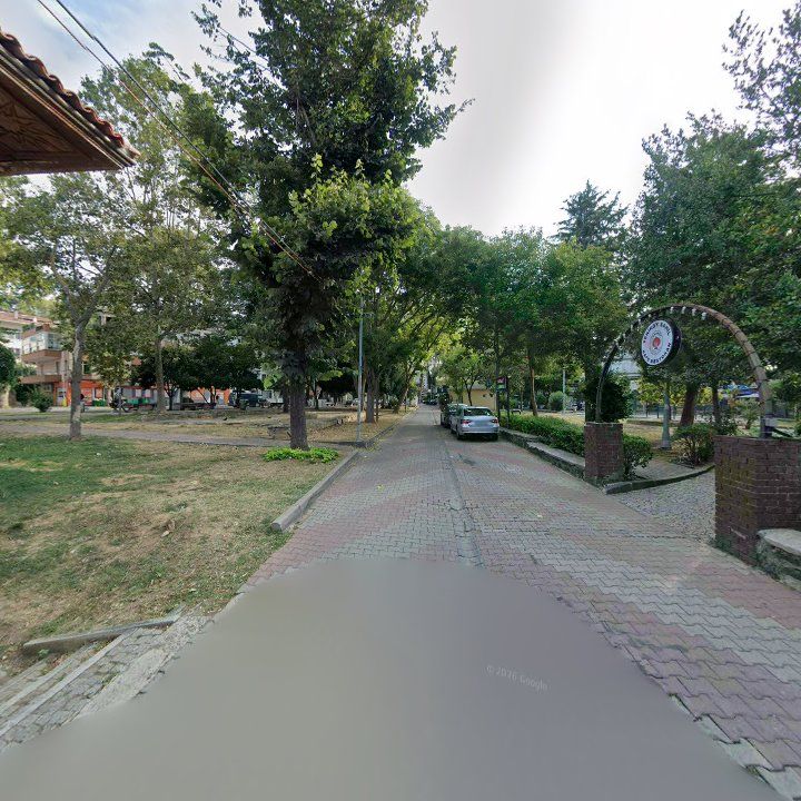 Fotoğraf 12