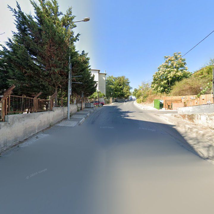Fotoğraf 12