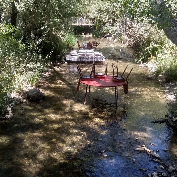Babamın Yeri Canlı Alabalık