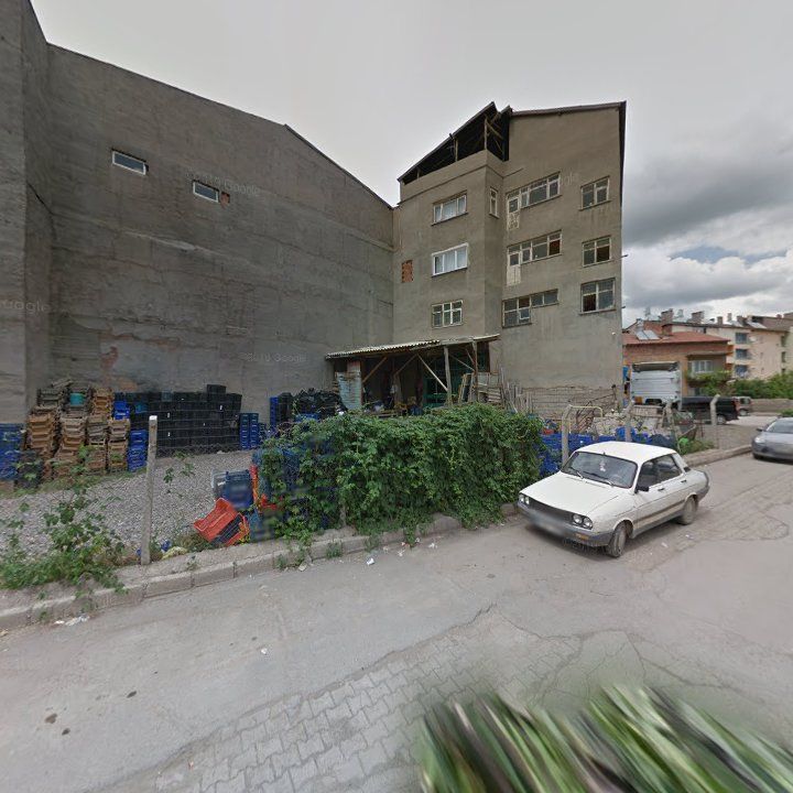 Fotoğraf 3