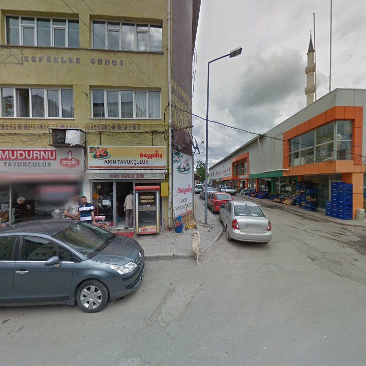 Fotoğraf 5