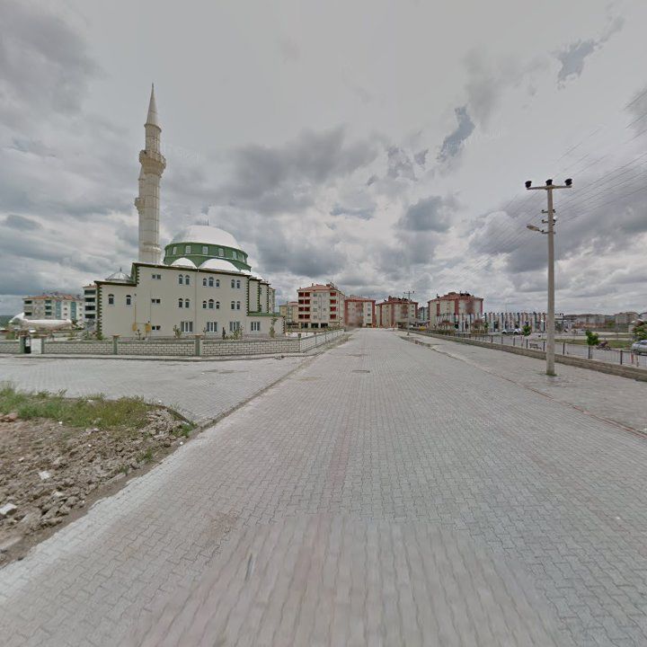 Fotoğraf 5