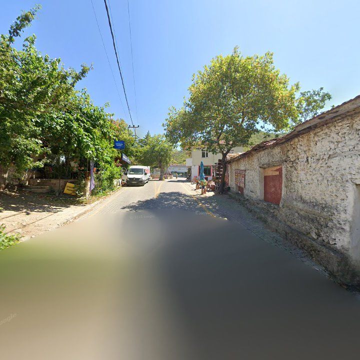 Fotoğraf 10