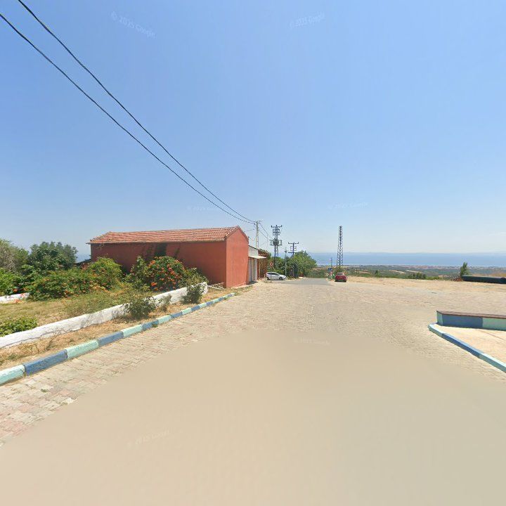 Fotoğraf 6