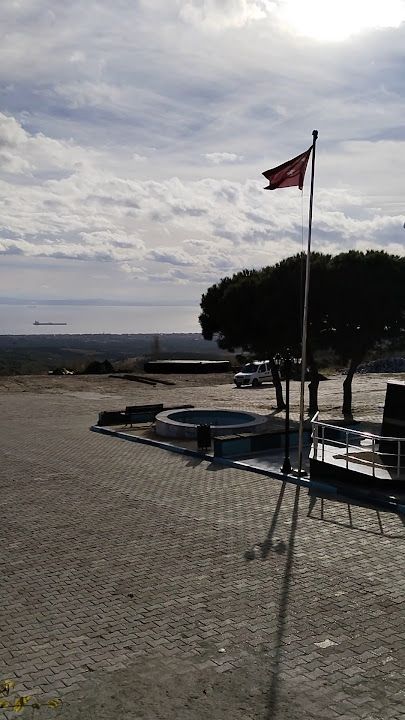 Fotoğraf 3