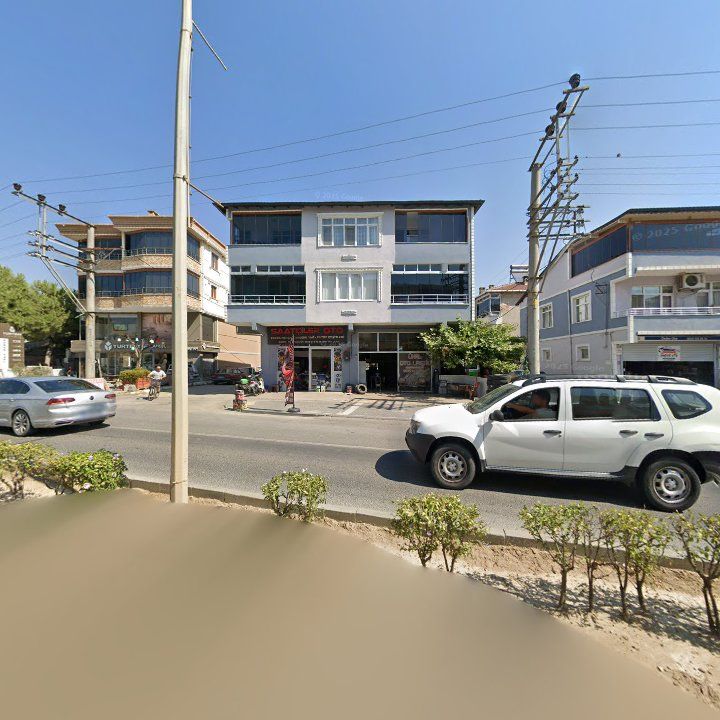 Bay Leylek