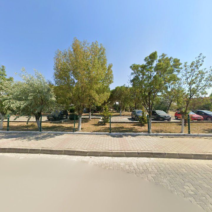 Fotoğraf 8
