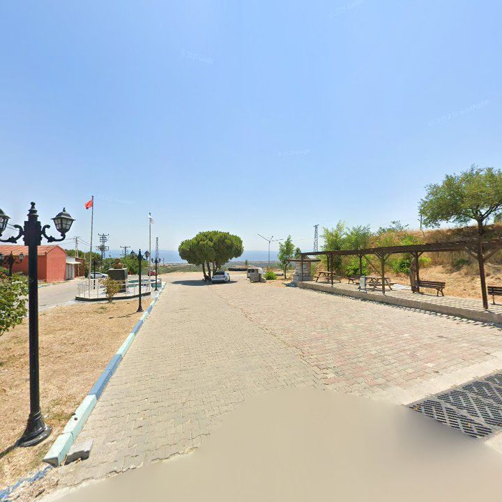 Fotoğraf 9