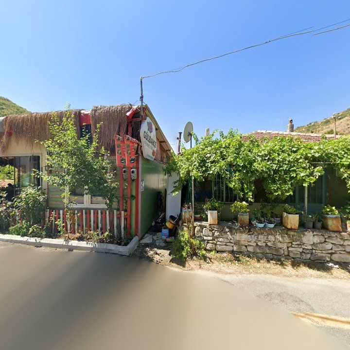 Fotoğraf 9