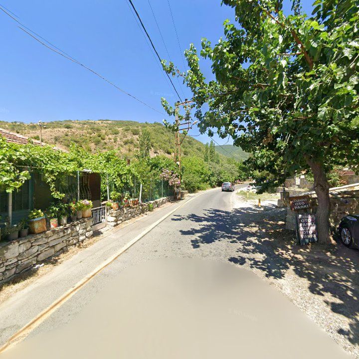 Fotoğraf 10