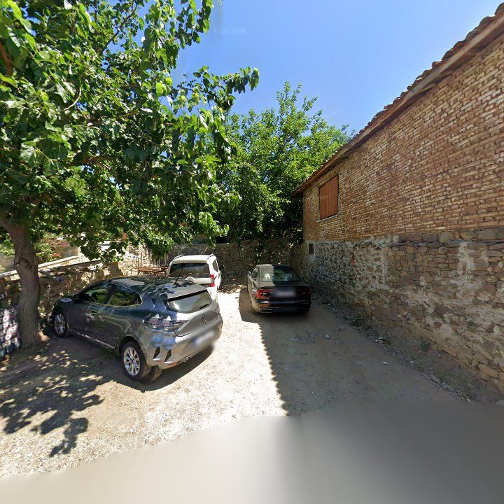 Fotoğraf 11