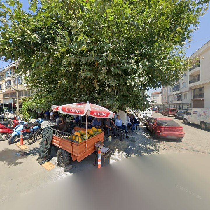 Fotoğraf 7