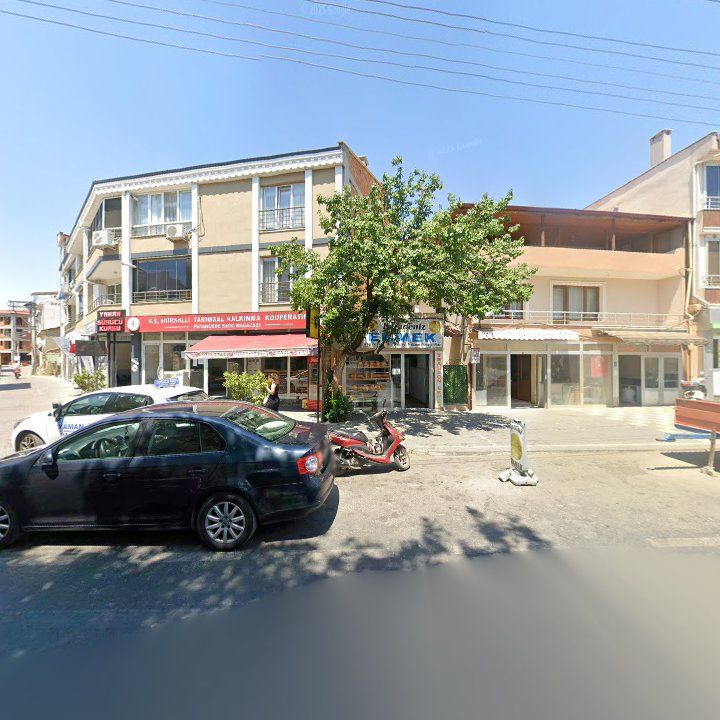 Fotoğraf 7