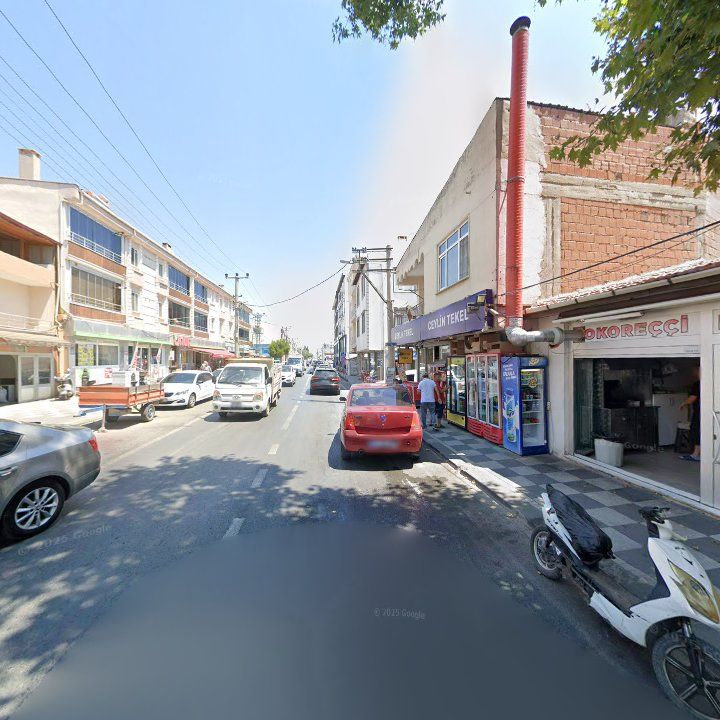 Fotoğraf 8