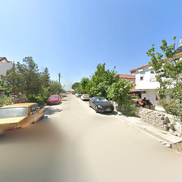 Fotoğraf 10