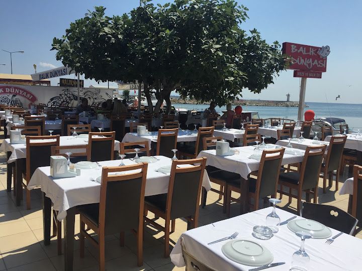 Şarköy Balık Dünyası