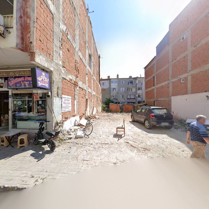 Fotoğraf 7