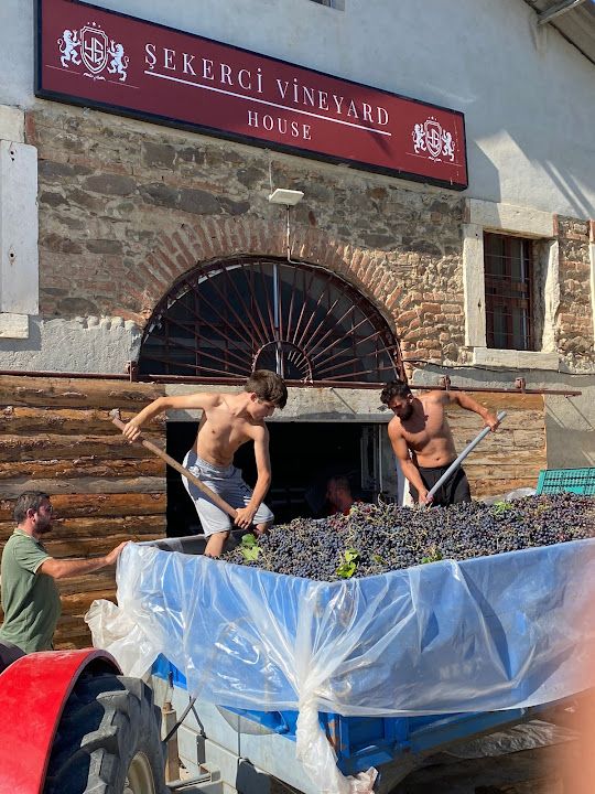 Şekerci Vineyard House