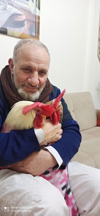 Yorum fotoğrafı 1