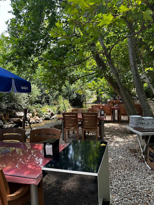 Fotoğraf 13