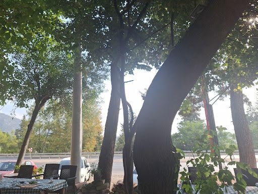 Yorum fotoğrafı 3