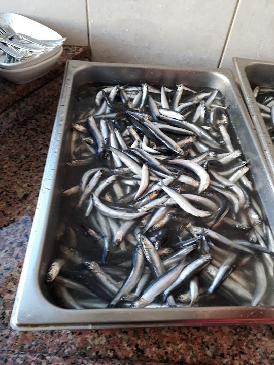 Fotoğraf 15