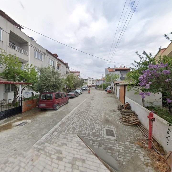 Fotoğraf 7
