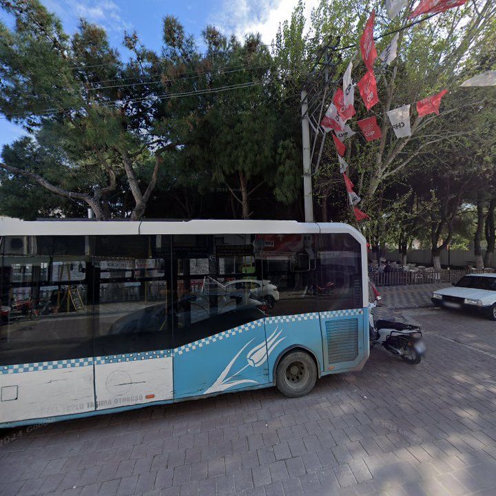 Fotoğraf 9