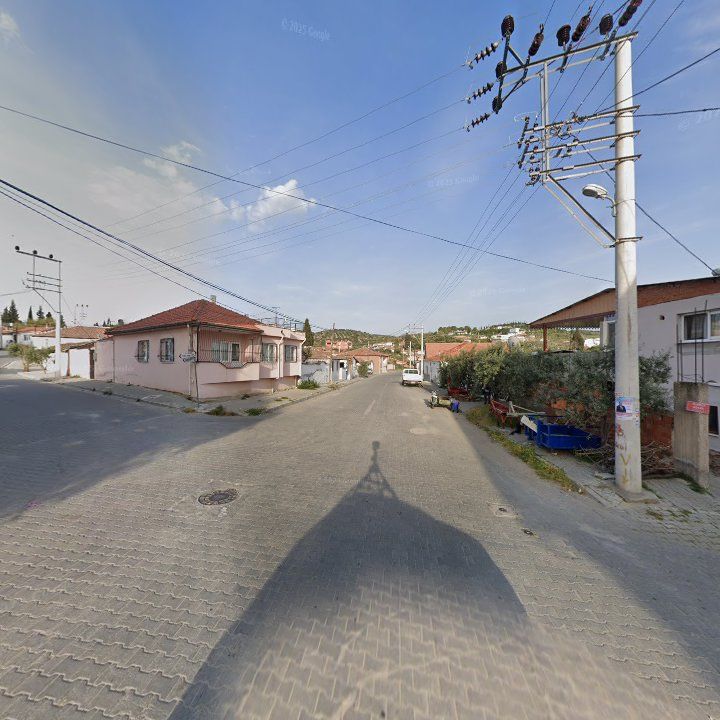 Fotoğraf 6