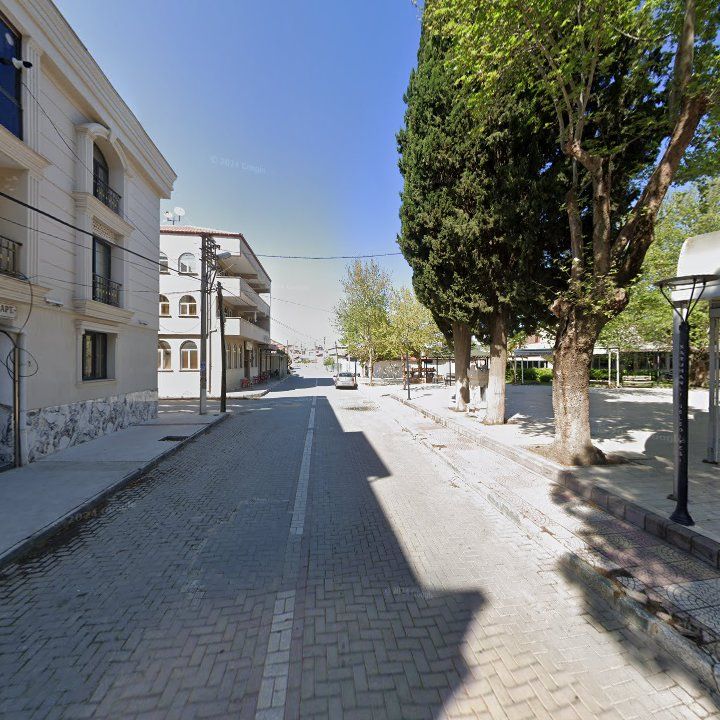 Fotoğraf 10