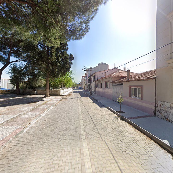 Fotoğraf 8