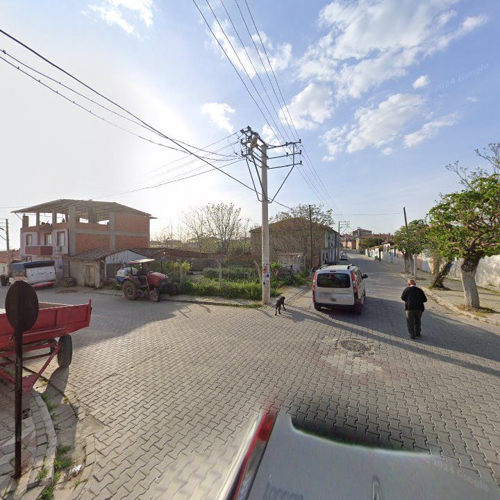 Fotoğraf 11