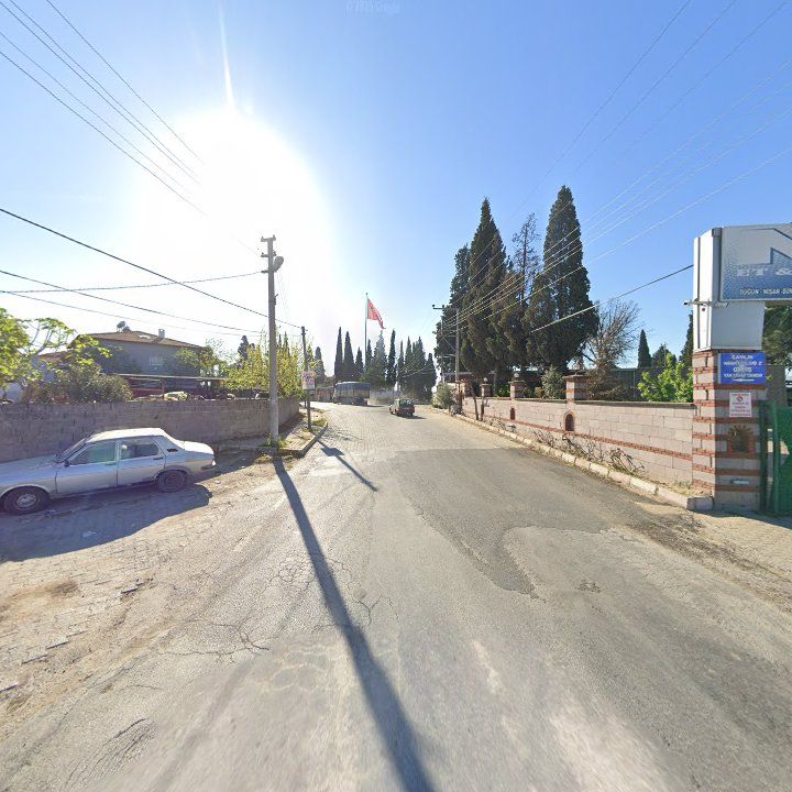 Fotoğraf 12