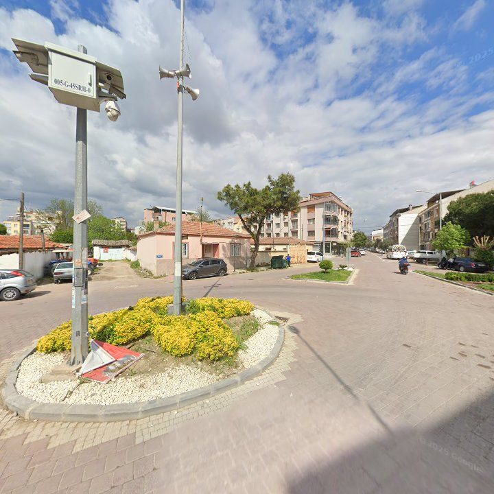 Fotoğraf 8