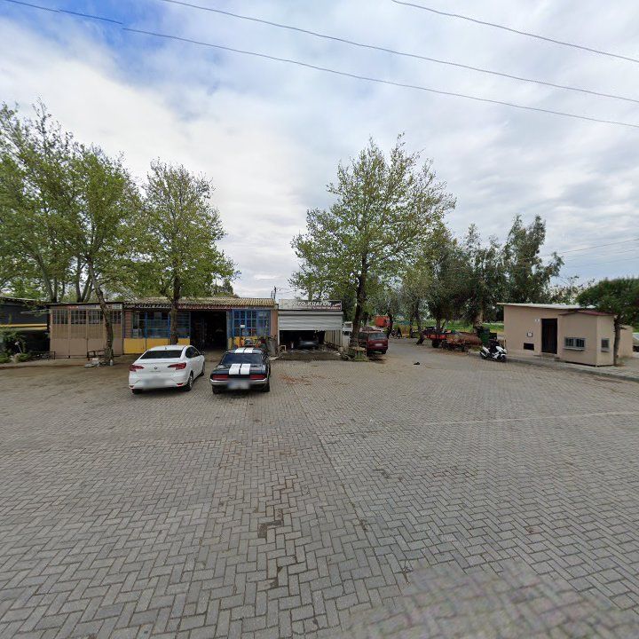 Fotoğraf 6